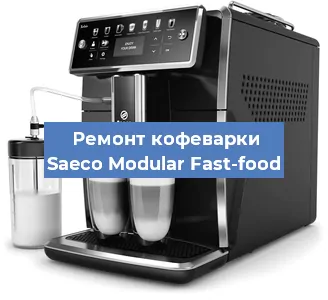 Чистка кофемашины Saeco Modular Fast-food от накипи в Воронеже